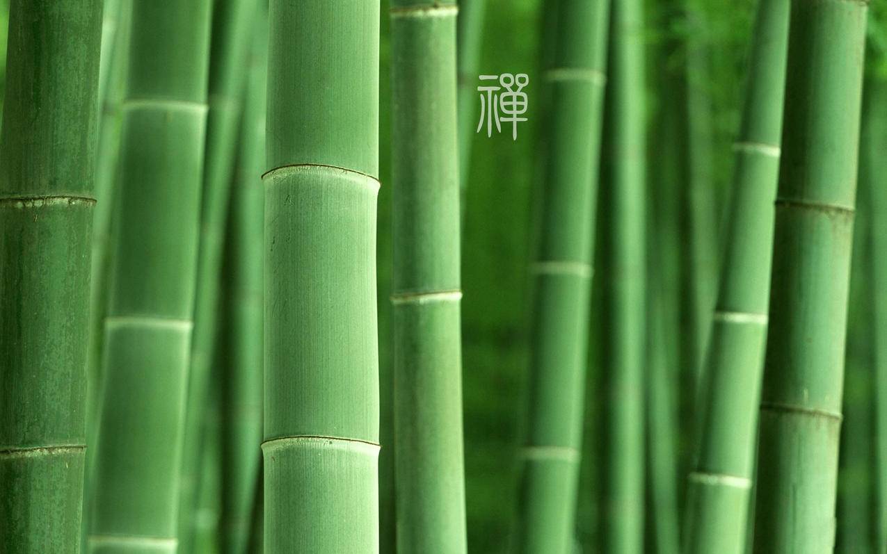 买快手赞20个 - QQ如和刷十万赞,飞客代刷快手业务,王者荣耀人气代刷链接