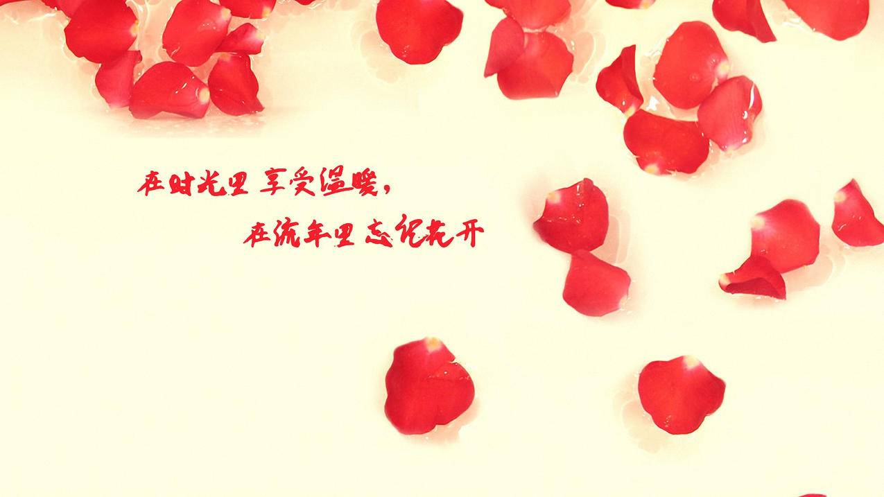 0元免费领取qq10000赞网站_48卡盟平台官网_快乐qq刷赞 - 真人抖音代刷