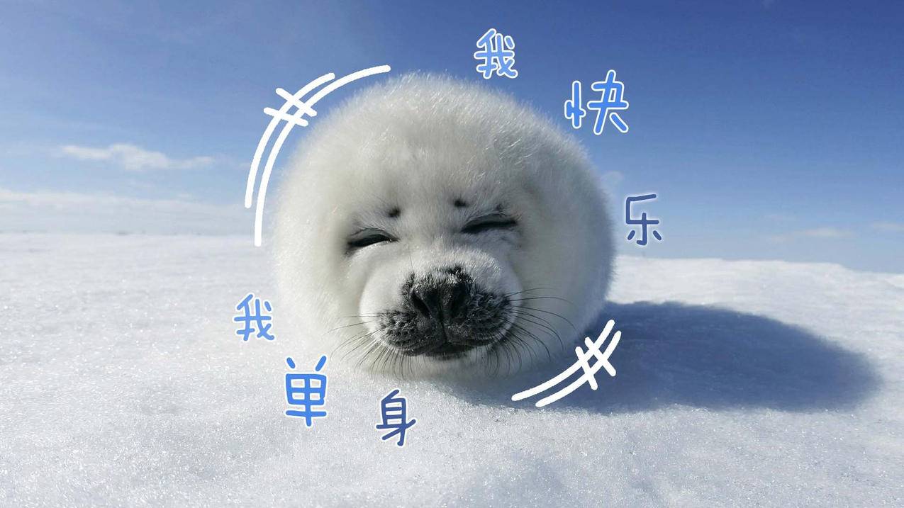 小九代刷业务网 - qq刷说说赞低价,知福代刷网平台快手_dy24小时业务自助下单平台