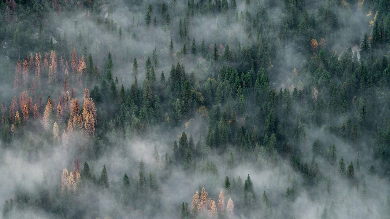 qq空间说说赞在线刷网站 - 抖音点赞业务代理平台-qq代刷网免费刷说说赞平台