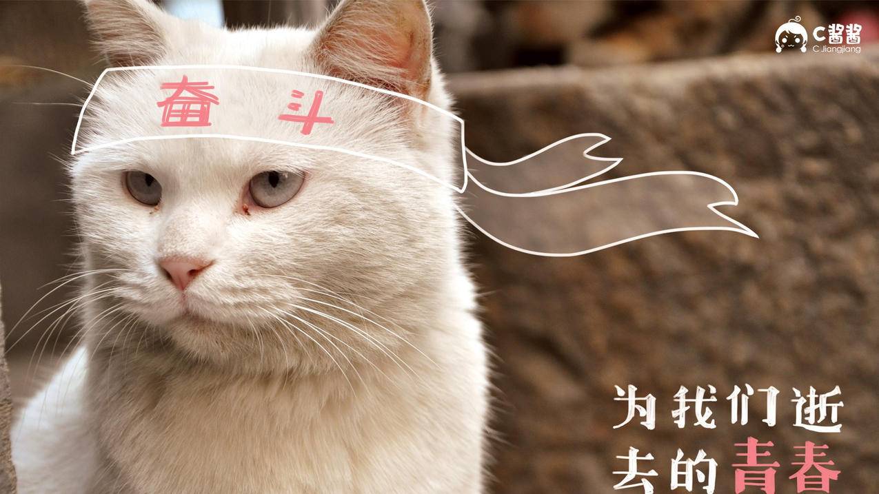 快手耍粉丝墨言代刷网刷拼多多_抖音推广100元加十几个粉丝_QQ刷赞的软件大全 - 卡盟官网平台48