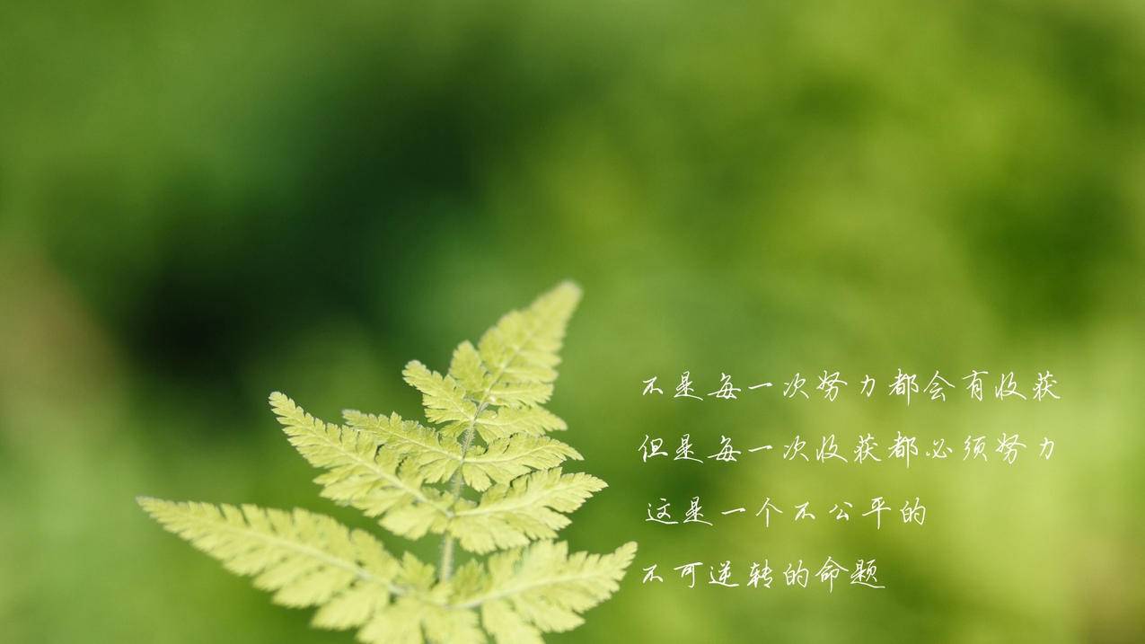qq免费 刷赞 - QQ诚信刷赞网站平台-低价抖音粉丝自助下单平台