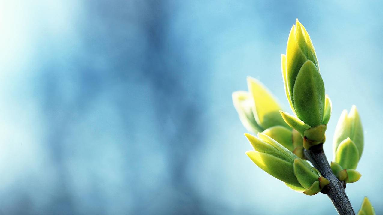 去战乱洛阳王者荣耀点券刷 - 在线刷qq免费赞-qq秒赞平台免费手机版