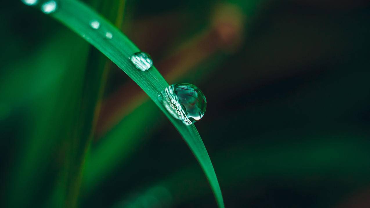 在线秒刷快手软件-2019最低快手抖音代刷网,qq启明刷赞网,刷微博粉丝3元1万