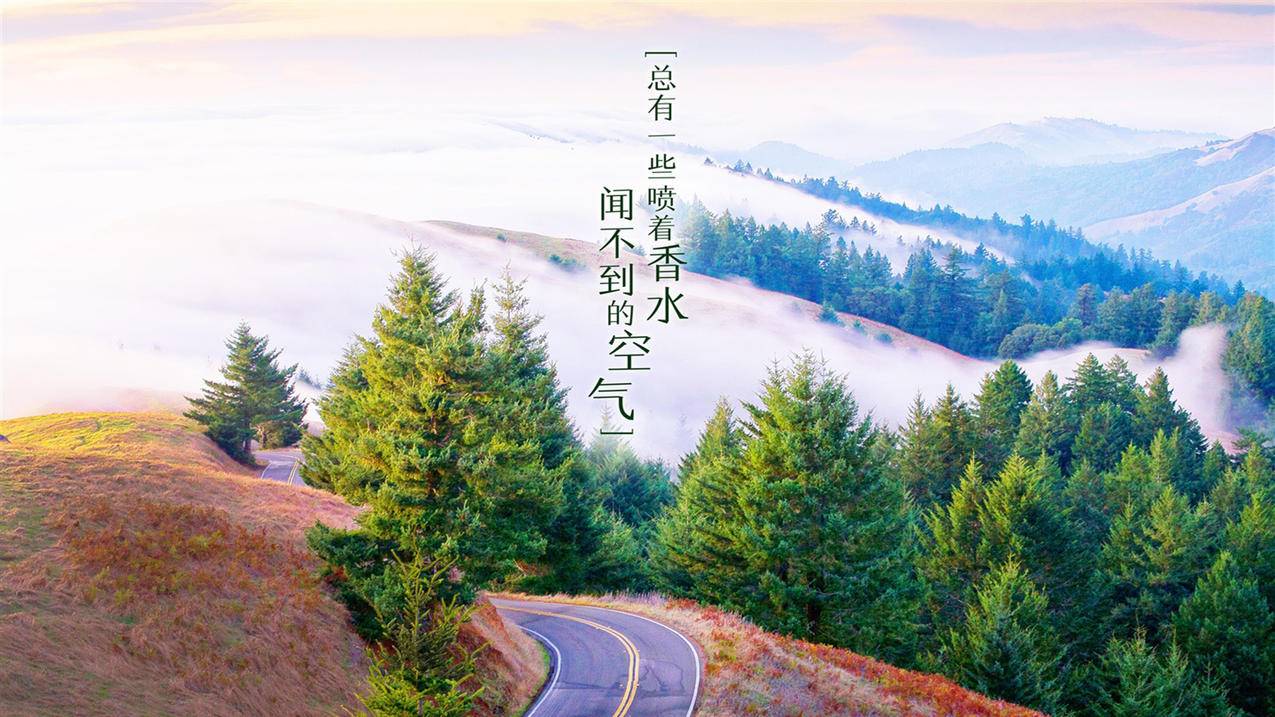刷抖刷人气 - 低价qq刷空间说说卡盟赞-代刷平台qq赞